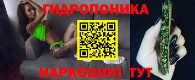 мдпв Лесосибирск
