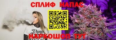 мдпв Лесосибирск