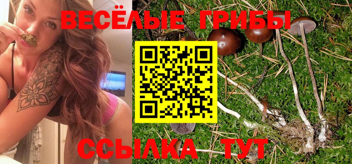 Псилоцибиновые грибы Magic Shrooms  Вход с VPN  Псилоцибиновые грибы Psilocybe  Верхняя Пышма 