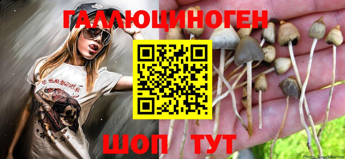 Галлюциногенные грибы прущие грибы Верхняя Пышма
